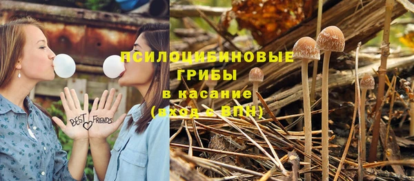 гидропоника Бородино