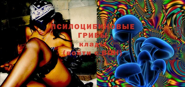 амф Бугульма