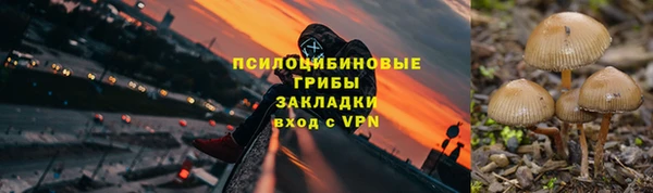 гидропоника Бородино