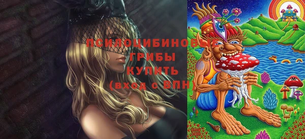 соль ск Бронницы