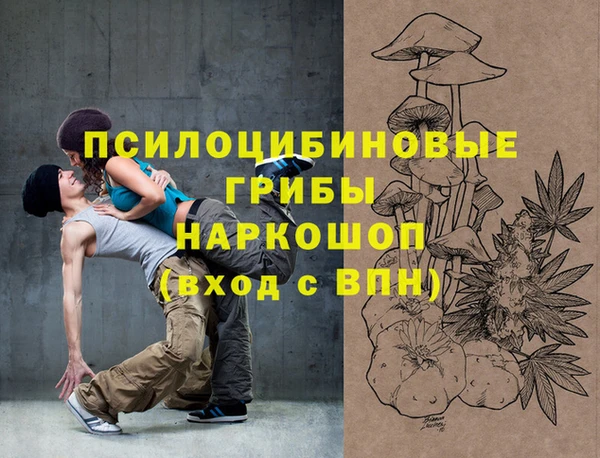 гидропоника Бородино