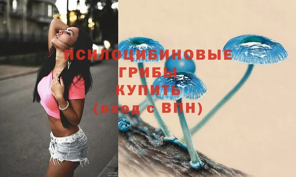 соль ск Бронницы