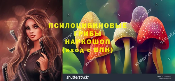 соль ск Бронницы