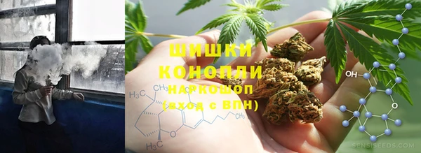 гидропоника Бородино