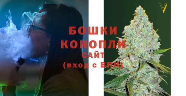 гидропоника Бородино
